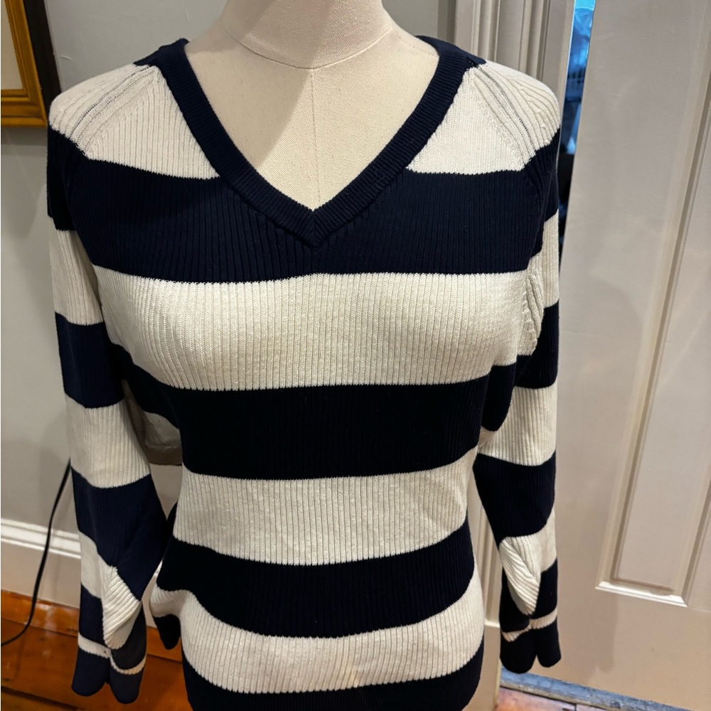Chaser Navy and White V-Neck Sweater